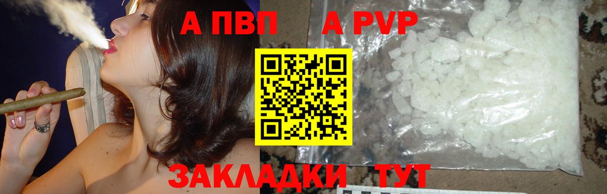 Alfa_PVP СК КРИС Гатчина