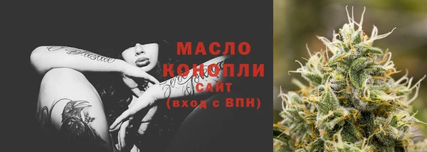 индика Белоозёрский