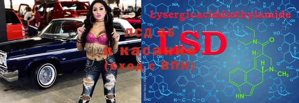индика Белоозёрский