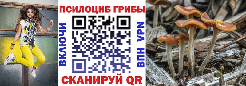 Галлюциногенные грибы GOLDEN TEACHER  Гатчина 