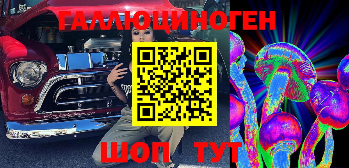 Псилоцибиновые грибы Psilocybe Гатчина