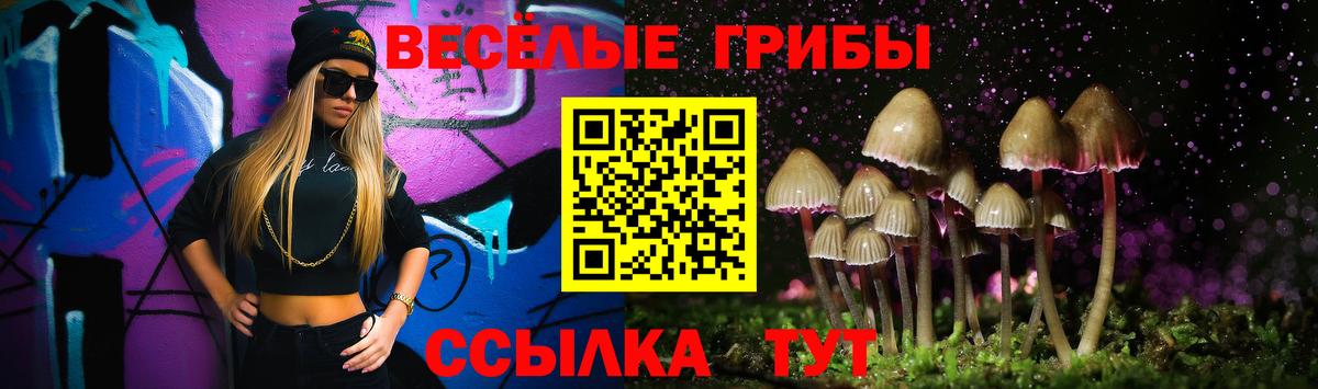 Галлюциногенные грибы Cubensis  закладки  Гатчина  Вход с VPN 